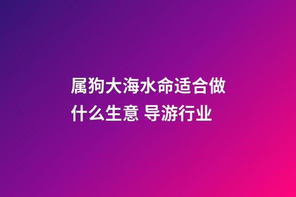 属狗大海水命适合做什么生意 导游行业